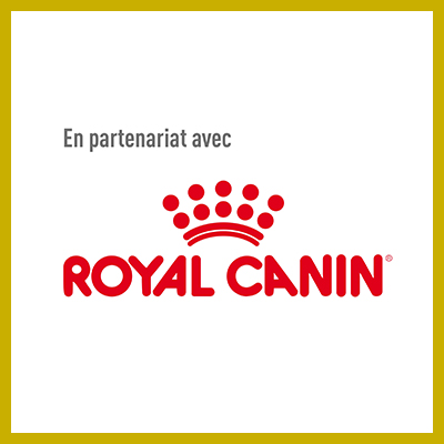 Sans-titre-1